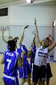 Basket 252036